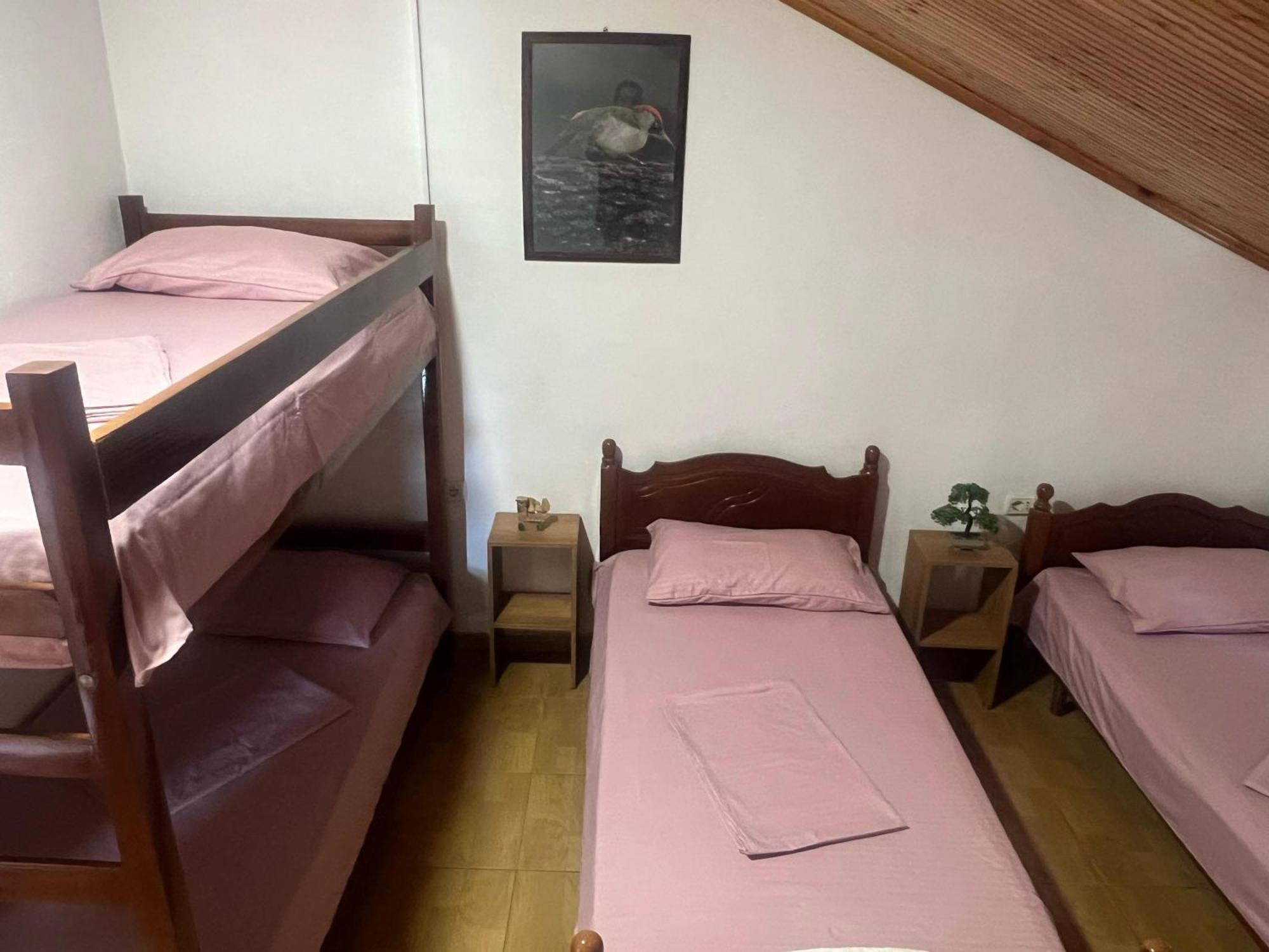 Happy Corner Guest House Shkodër Eksteriør bilde
