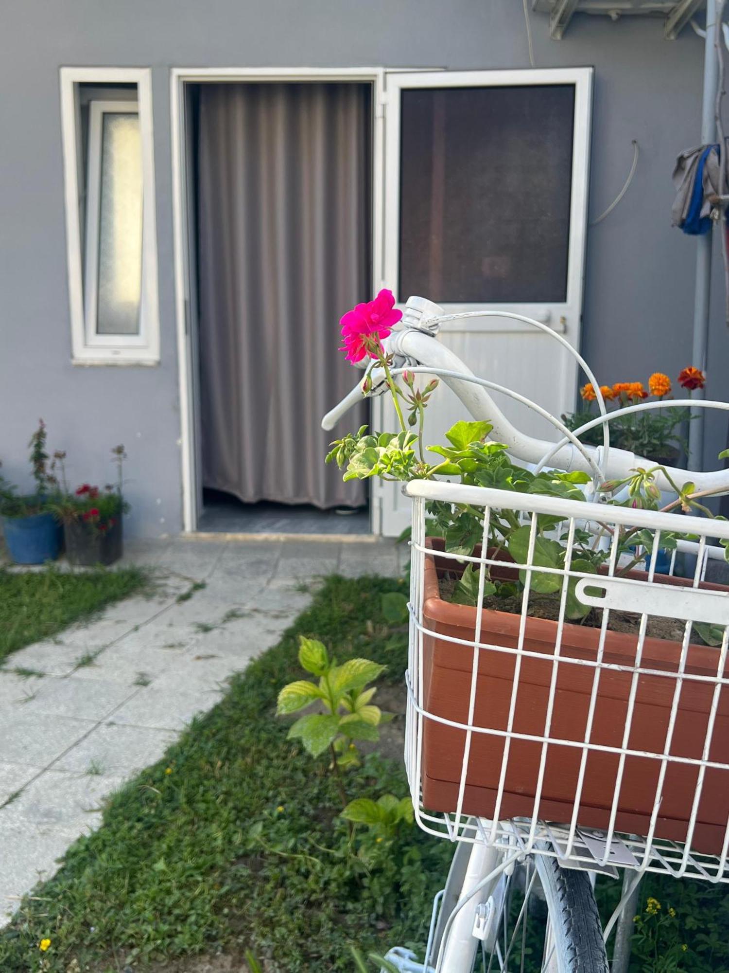 Happy Corner Guest House Shkodër Eksteriør bilde
